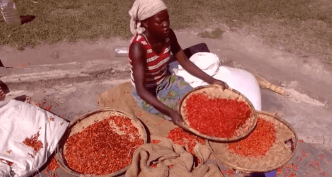 Screen Shot 2016-02-10 at 10.33.51