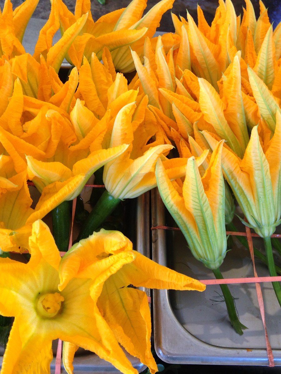 Summer Zucchini Pasta w/ squash&nbsp;blossoms