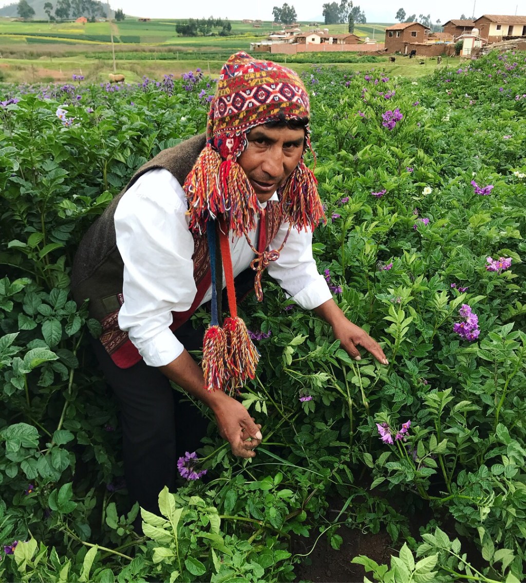 Travel & Food diaries from PERU